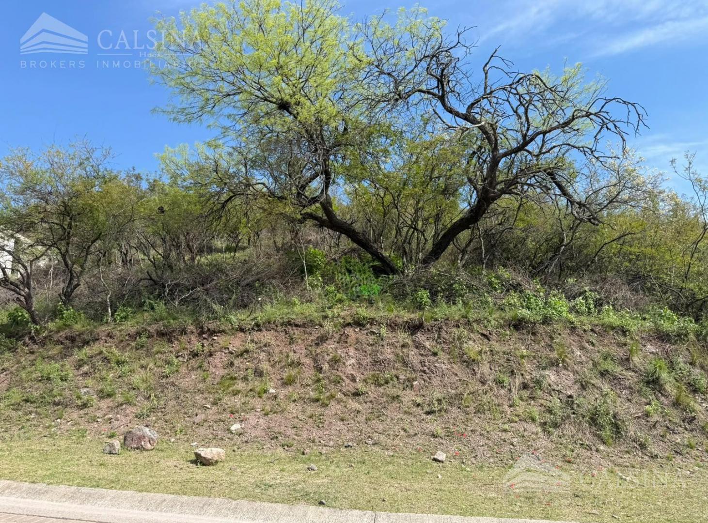 Foto de terreno en venta en la deseada sobre el vallecito, imagen 2