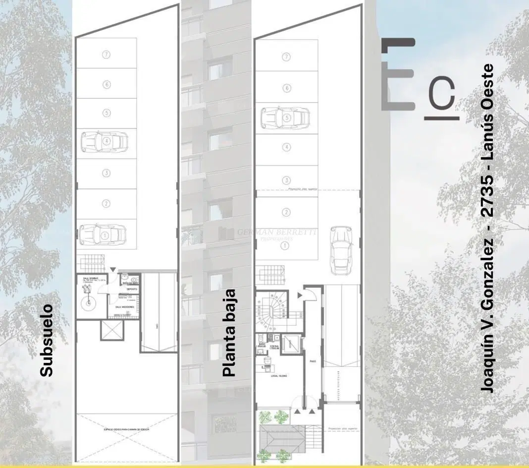 Plano 8