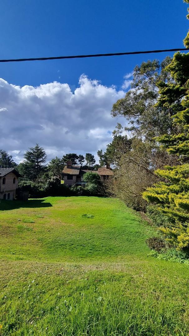Foto de Casa Chalet en Venta en Pinamar Norte, Pinamar, Costa Atlántica, imagen 4