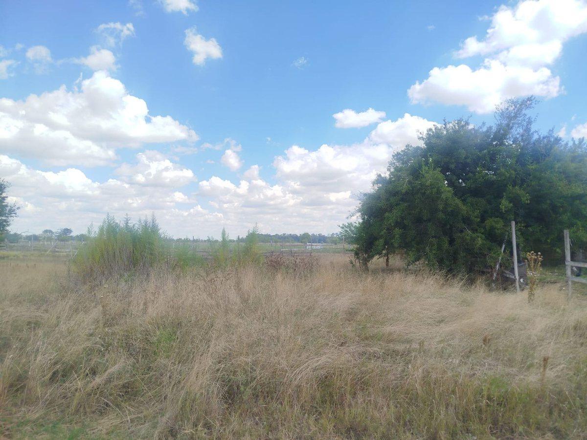 Foto de 3 LOTES 300 m2 c/u Carlos Spegazzini EL PORVENIR, imagen 1