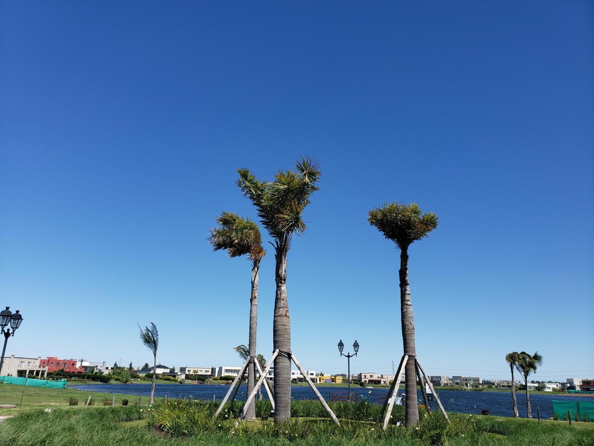 Foto de BARRIO CERRADO SAN GABRIEL CON RENTA, imagen 4