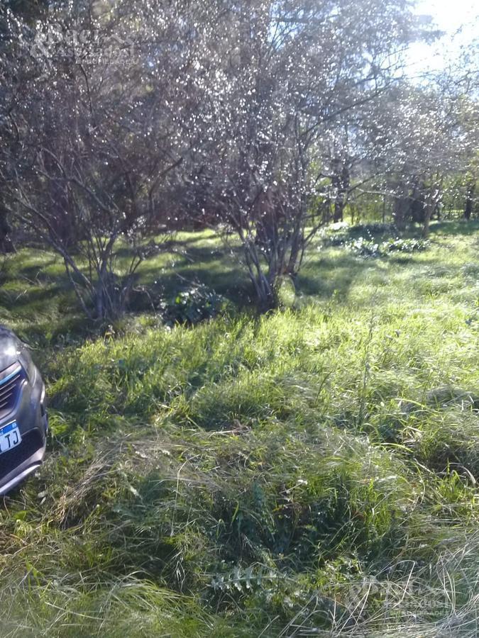 Chacra - Canning (Ezeiza)