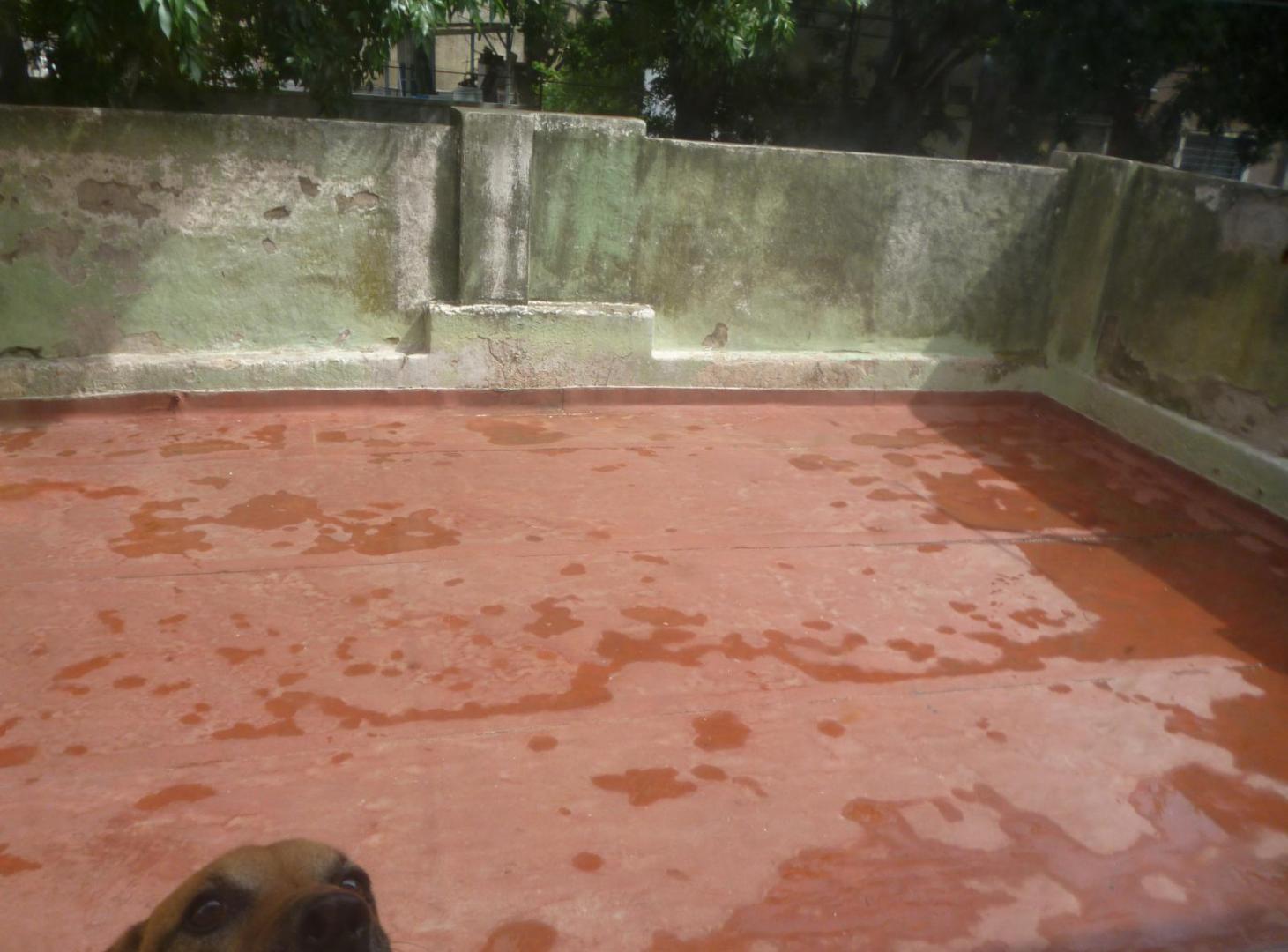 Foto de Casa en Saavedra, imagen 5