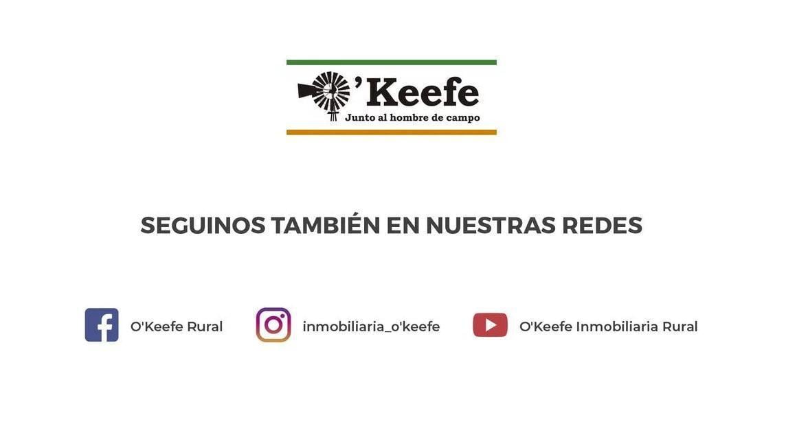 Campo Mixto 470 Has - Inmejorables instalaciones - Fácil Acceso