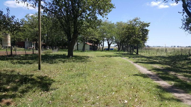 450 Has Magdalena - Campo en Venta a metros de Ruta  36!!!