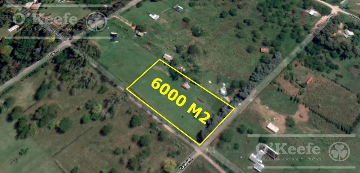 Quincho en venta Abasto en lote de  6000 m2 - Escritura directa!!!