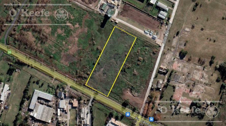 Lote / Terreno / Predio Industrial / Comercial en Venta de 2,5 Has en Florencio Varela 3