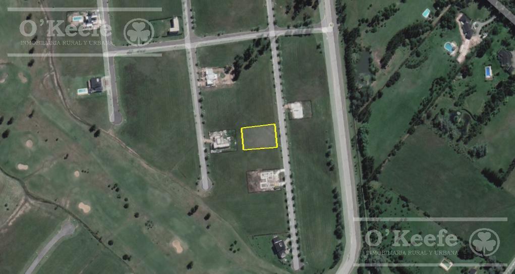 Lote en Venta en Area 60 - Coronel Brandsen - 1500 m² - Oportunidad 2