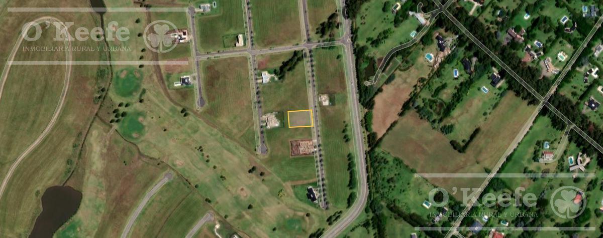 Lote en Venta en Area 60 - Coronel Brandsen - 1500 m² - Oportunidad 3