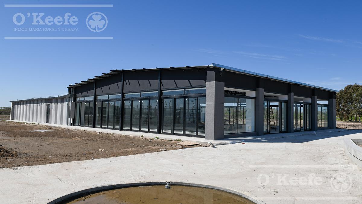 Foto de Lote en venta en Puerto Nizuc - Oportunidad de inversión en Guillermo, imagen 3