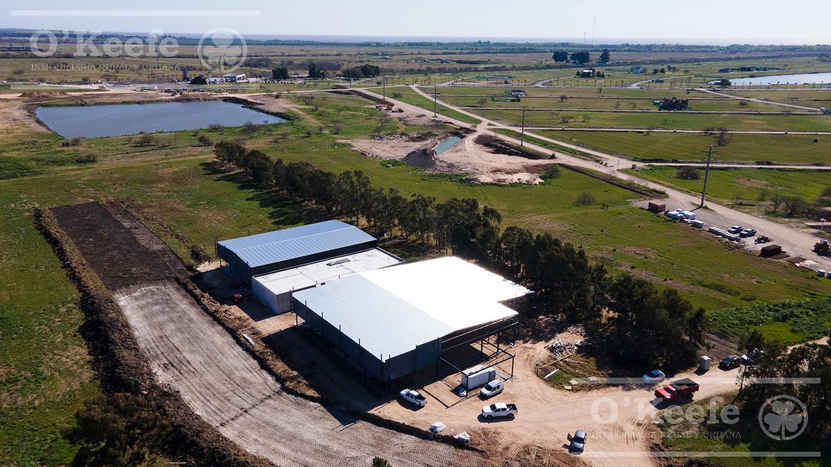 Lote en Venta en Puerto Nizuc - Oportunidad de Inversión en Guillermo Hudson 5