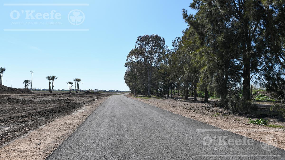 Lote en Venta en Puerto Nizuc - Oportunidad de Inversión en Guillermo Hudson 5