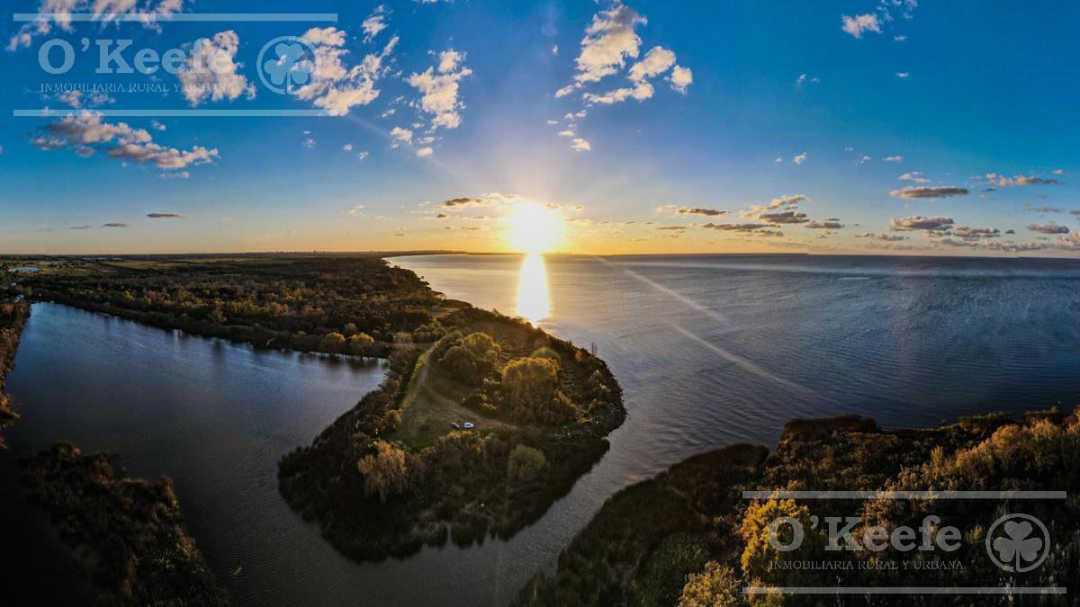 Lote en Venta en Puerto Nizuc - Oportunidad de Inversión en Guillermo Hudson 5