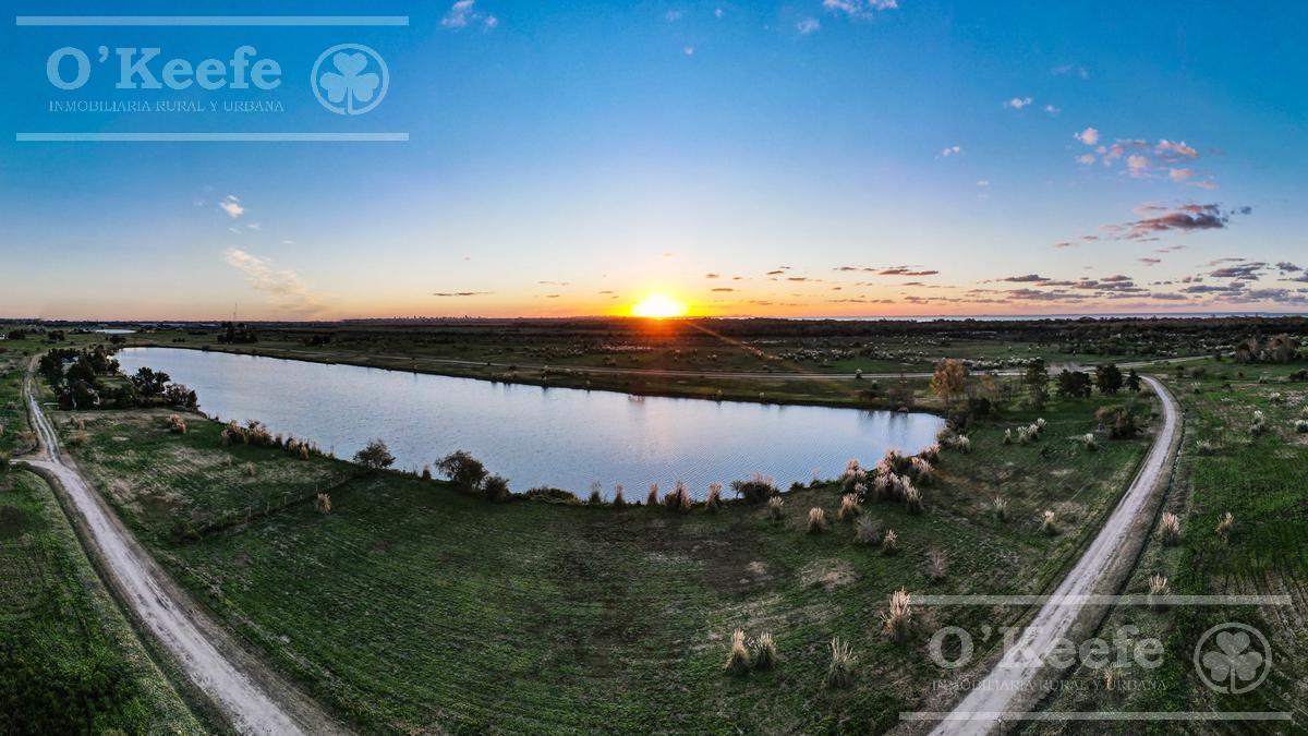 Lote en venta en Puerto Nizuc - Oportunidad de inversión en Guillermo Hudson