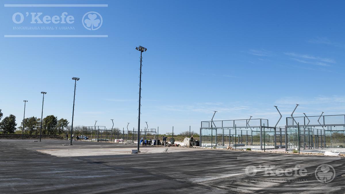 Lote en Venta en Puerto Nizuc - Oportunidad de Inversión en Guillermo Hudson 4
