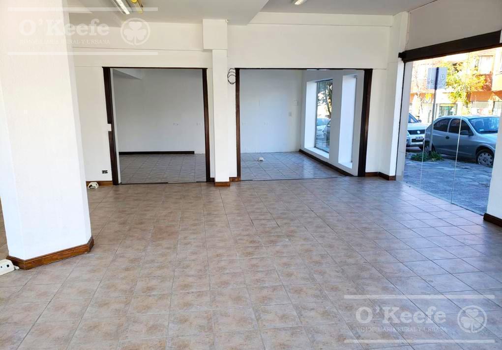 Local Comercial en Venta en Centro Diagonal Capraro - Bariloche 1