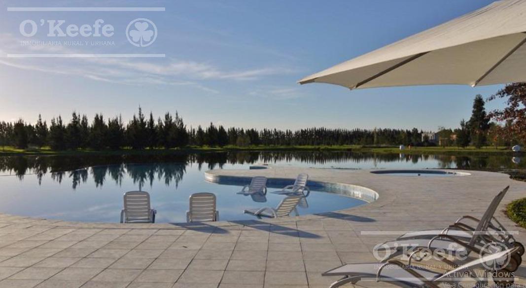 Foto de LOTE DE 1333M2 EN MIRALAGOS II !!, imagen 3