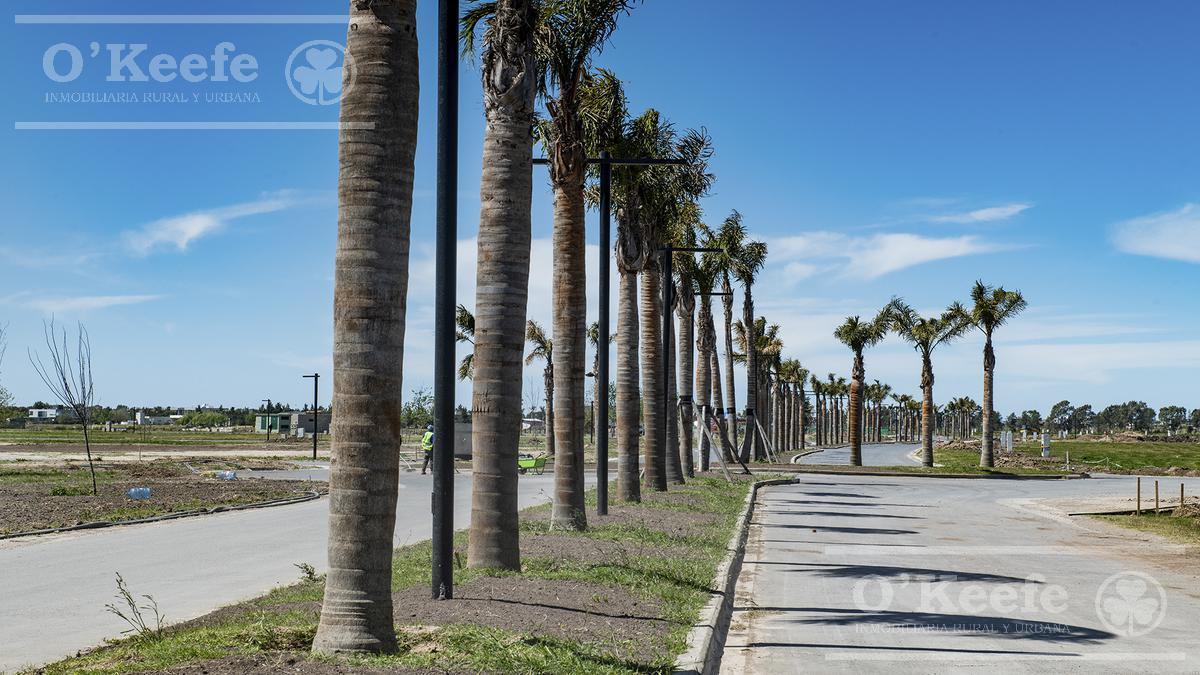 Lote en Venta en Puerto Nizuc - Oportunidad de Inversión en Guillermo Hudson 4
