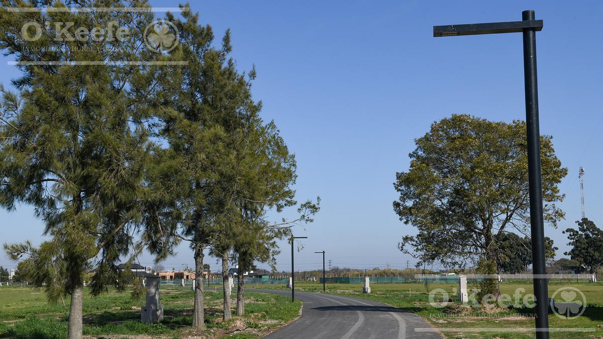 Lote en Venta en Puerto Nizuc - Oportunidad de Inversión en Guillermo Hudson 5