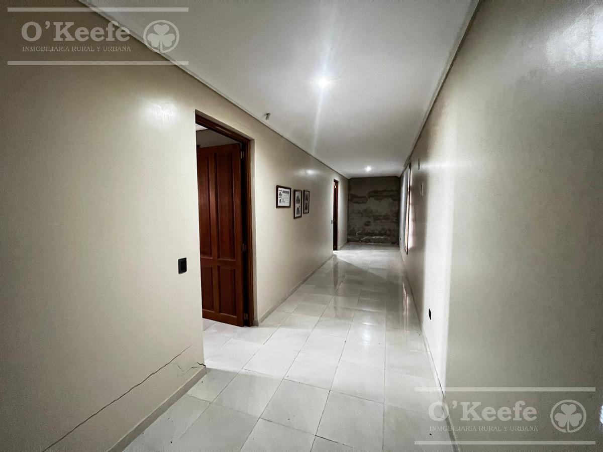 Foto de Chacra en venta 4 has San Andres de Giles excelente casco, imagen 2