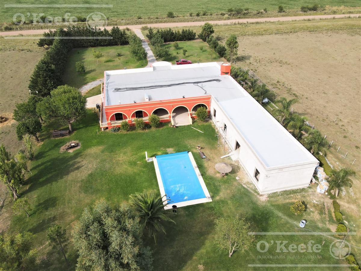 Foto de Chacra en venta 4 has San Andres de Giles excelente casco, imagen 5