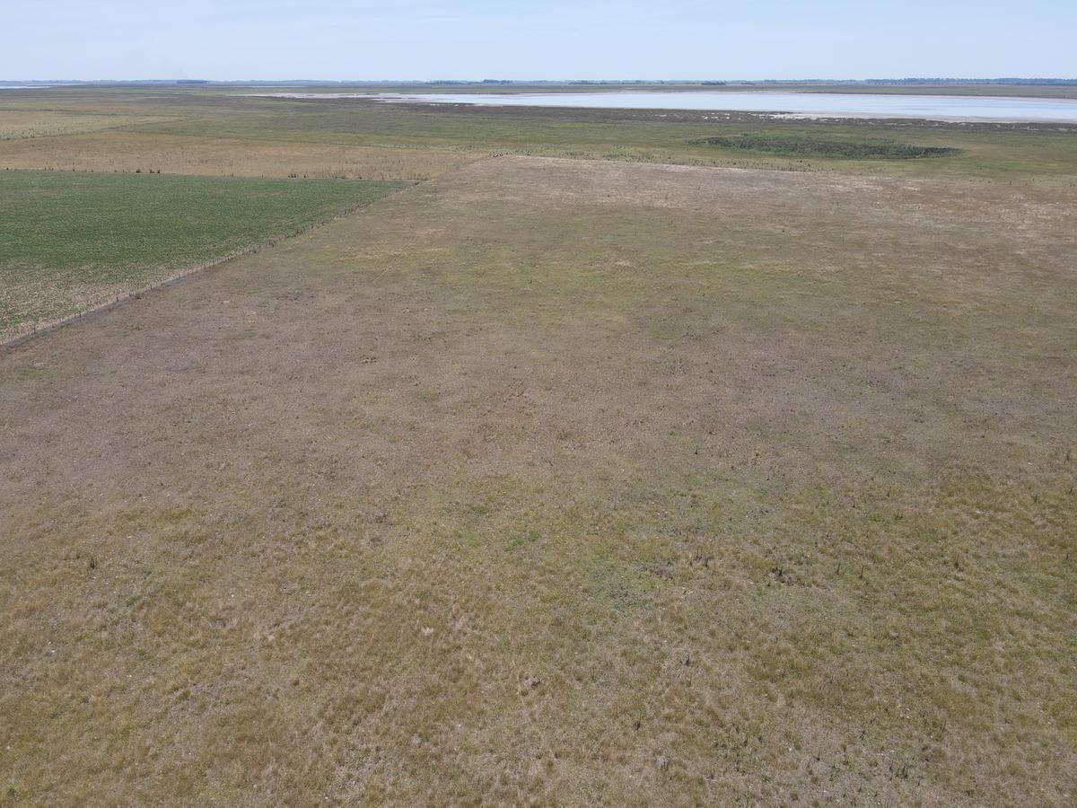 Campo en Venta Mixto de 72 Has en Saladillo. a 3000 m de Ruta 4