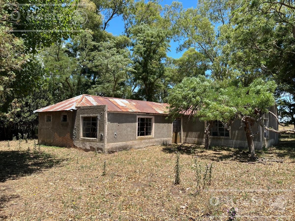 Campo en Venta Mixto de 72 Has en Saladillo. a 3000 m de Ruta 3
