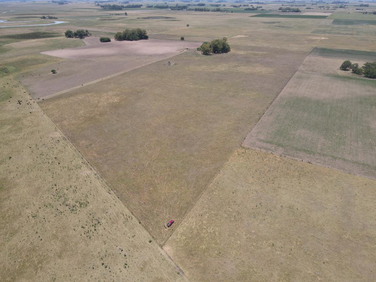 Campo en Venta Mixto de 72 Has en Saladillo. a 3000 m de Ruta 5