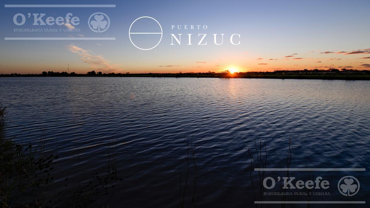 Lote en Venta en Puerto Nizuc - Oportunidad de Inversión en Guillermo Hudson 4