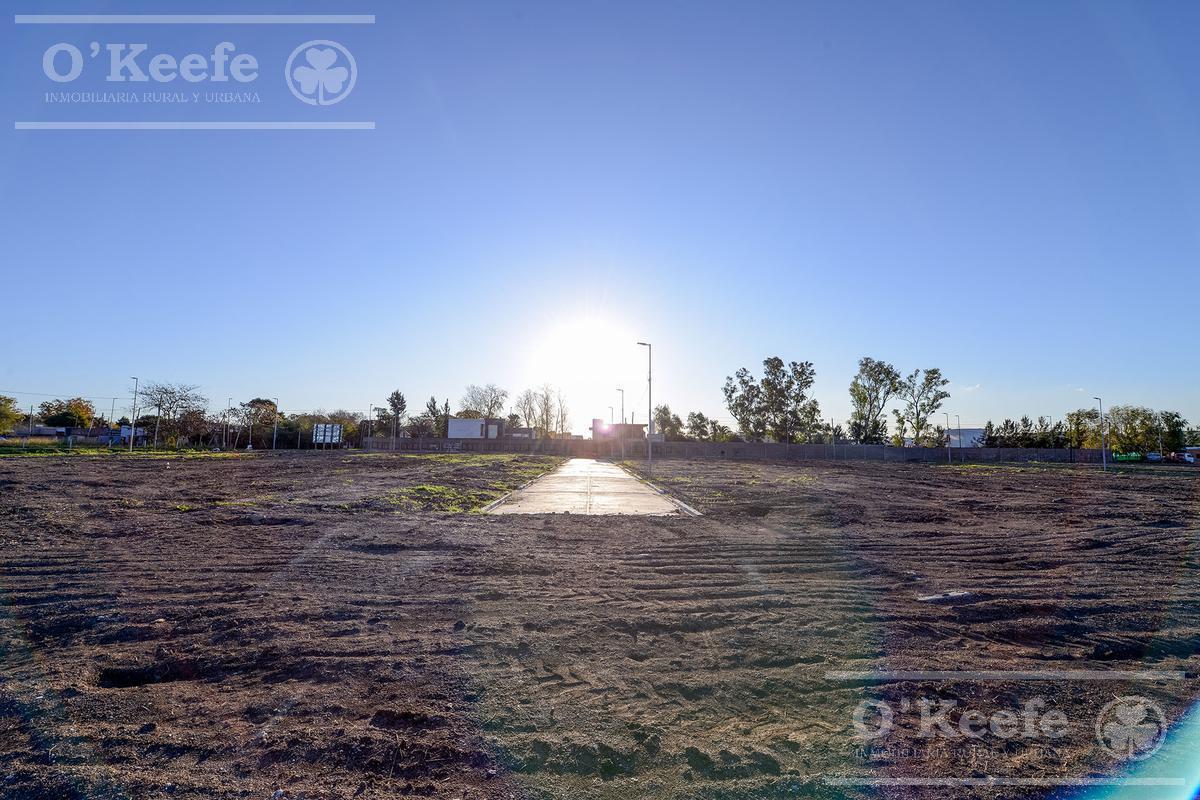 Foto de Solares del Parque II, imagen 4