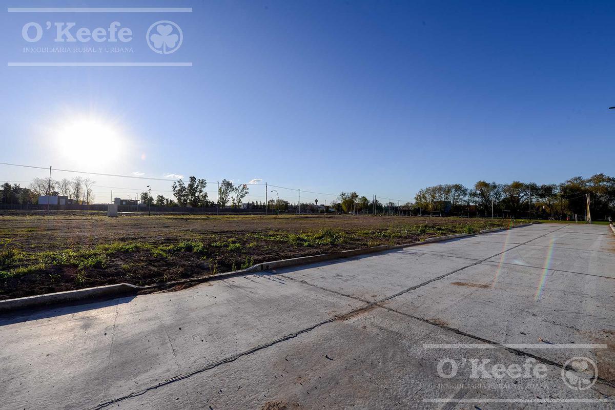 Foto de Solares del Parque II, imagen 5