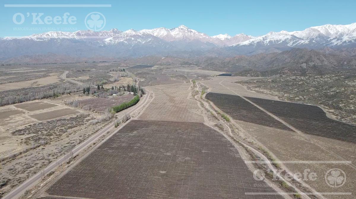 Campo en Venta de 30.000 Has Ideal Proyecto Inmobiliario Valle de Uco Mendoza 3
