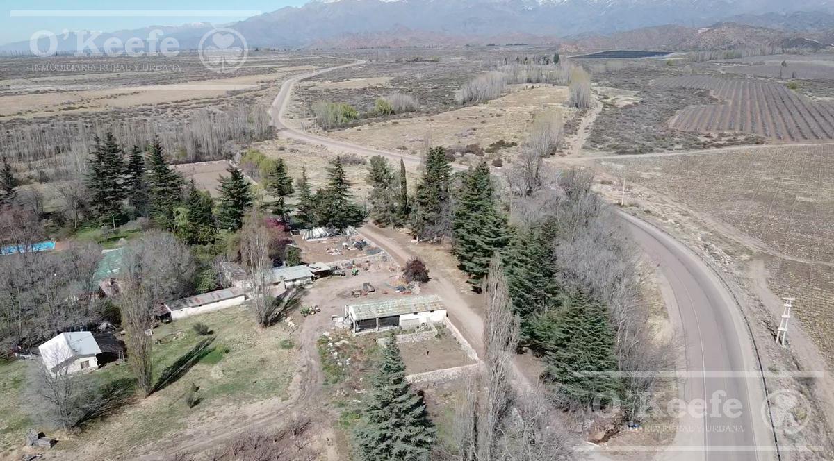 Campo en Venta de 30.000 Has Ideal Proyecto Inmobiliario Valle de Uco Mendoza 2
