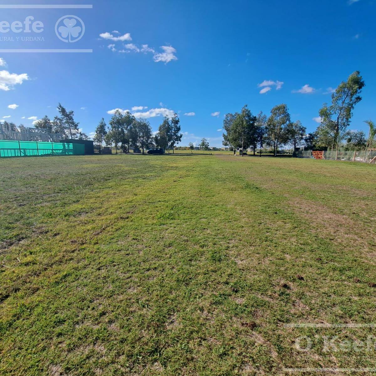 LOTE DE 1022 M2 EN VENTA EN HARAS DEL SUR II, CONSULTANOS!