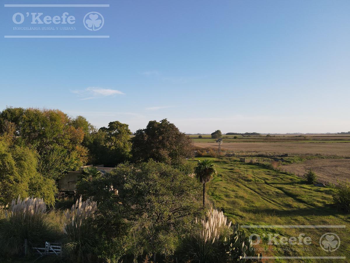 Campo mixto de 340 has sobre ruta 2 !!