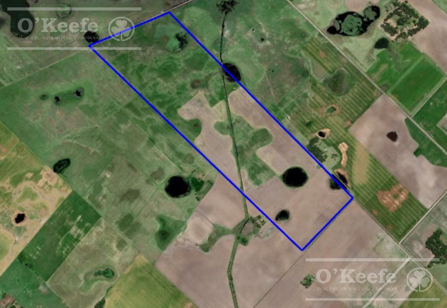 Campo en Venta de 90 Has en Saladillo Mixto 3
