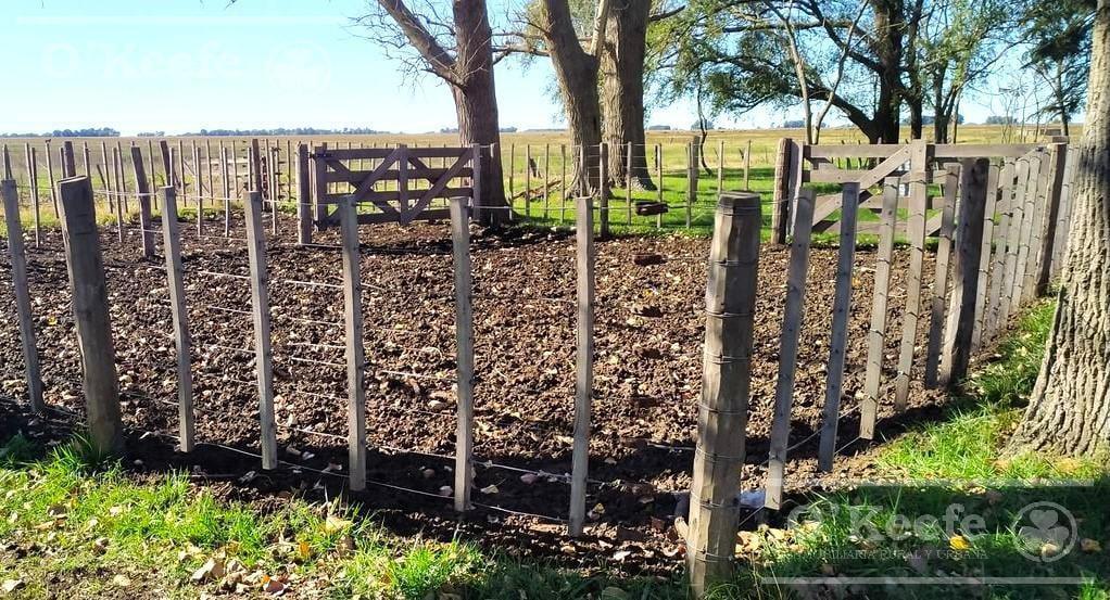 Campo en Venta de 77 Has en Saladillo - Agricola Ganadero 3