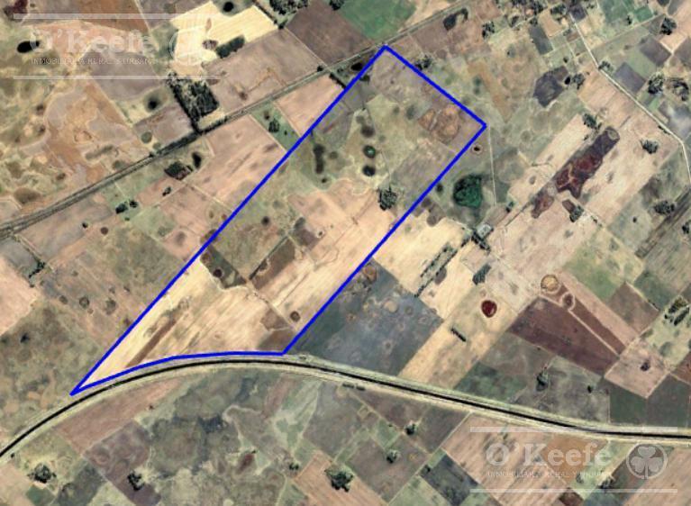 Campo en Venta de 335 Has 80% Sembrable 4