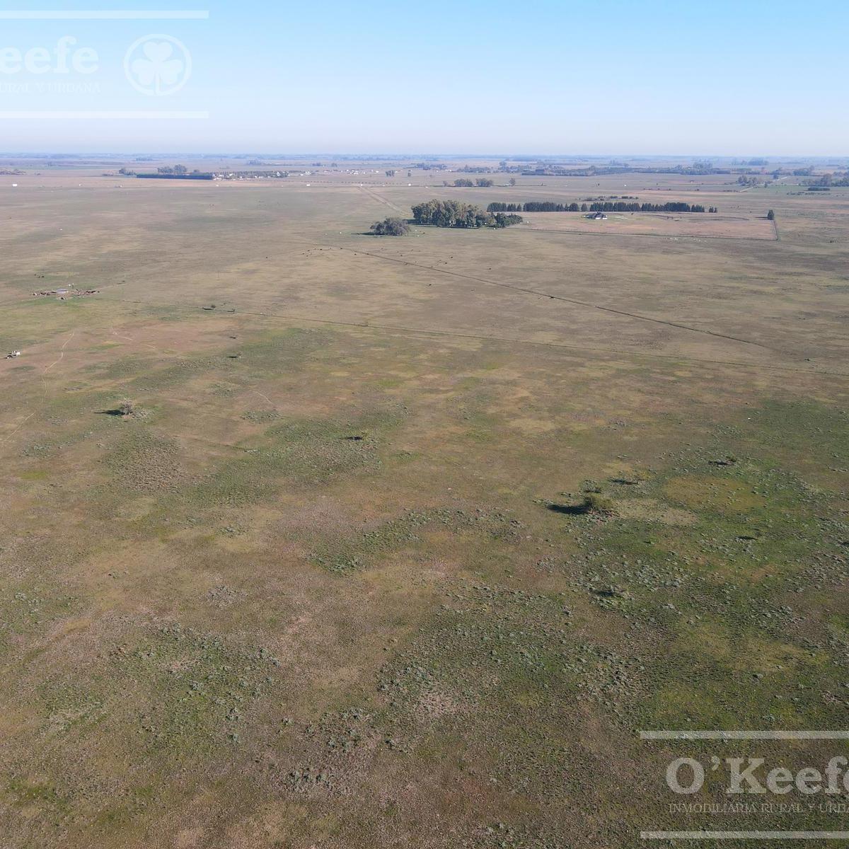 Campo en venta 1030 has sobre Autovia 2. Apto club de campo