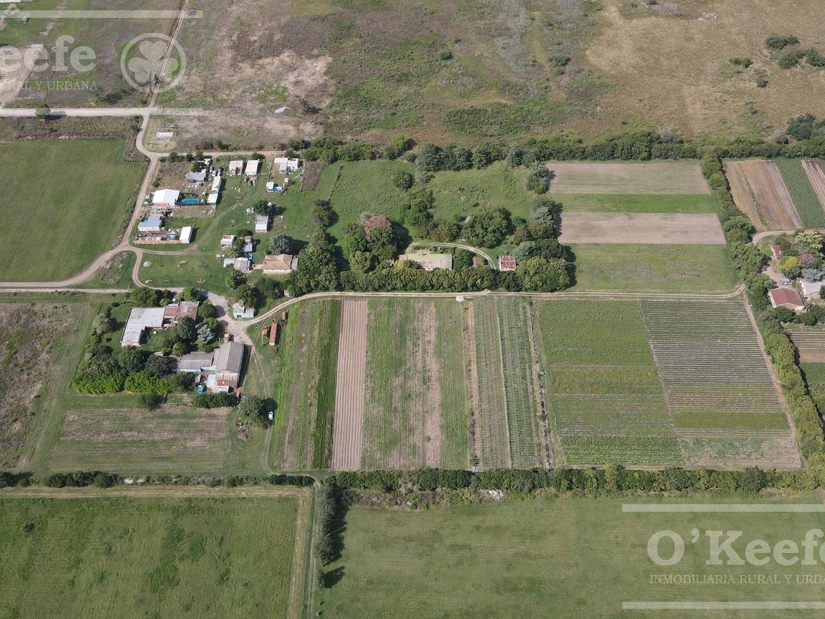 Foto de VENTA IDEAL DESARROLLO - 12,5 Hectáreas en Florencio Varela - Expansión, imagen 5