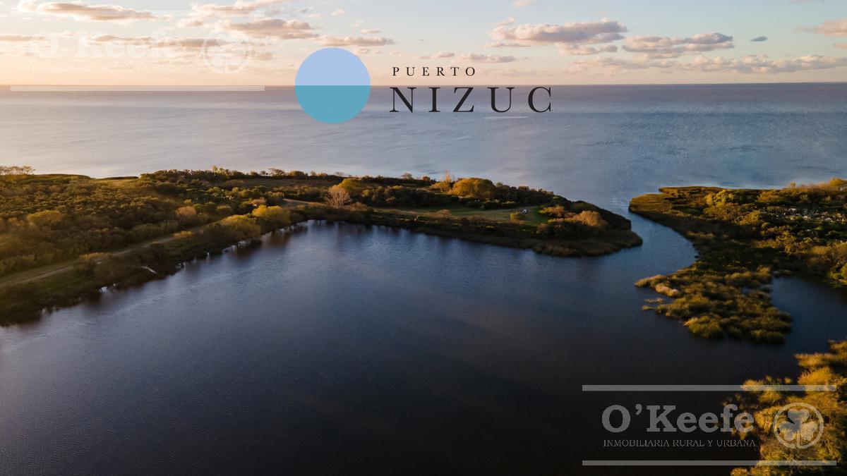 Lote en Venta en Puerto Nizuc - Oportunidad de Inversión en Guillermo Hudson 1