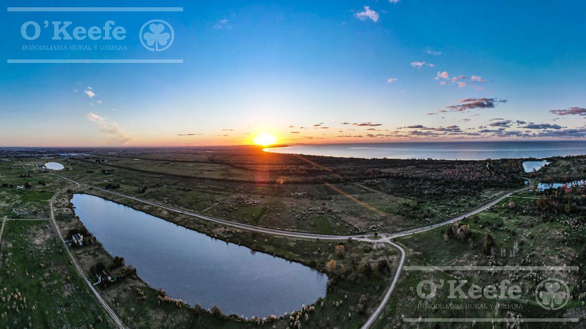 Lote en Venta en Puerto Nizuc - Oportunidad de Inversión en Guillermo Hudson 4