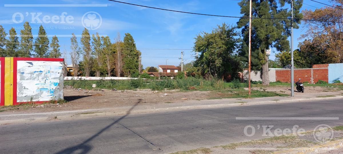 VENTA - Lote en Plátanos - Berazategui - 841m2- Frente sobre Av. Mitre - UBICACION ESTRATEGICA