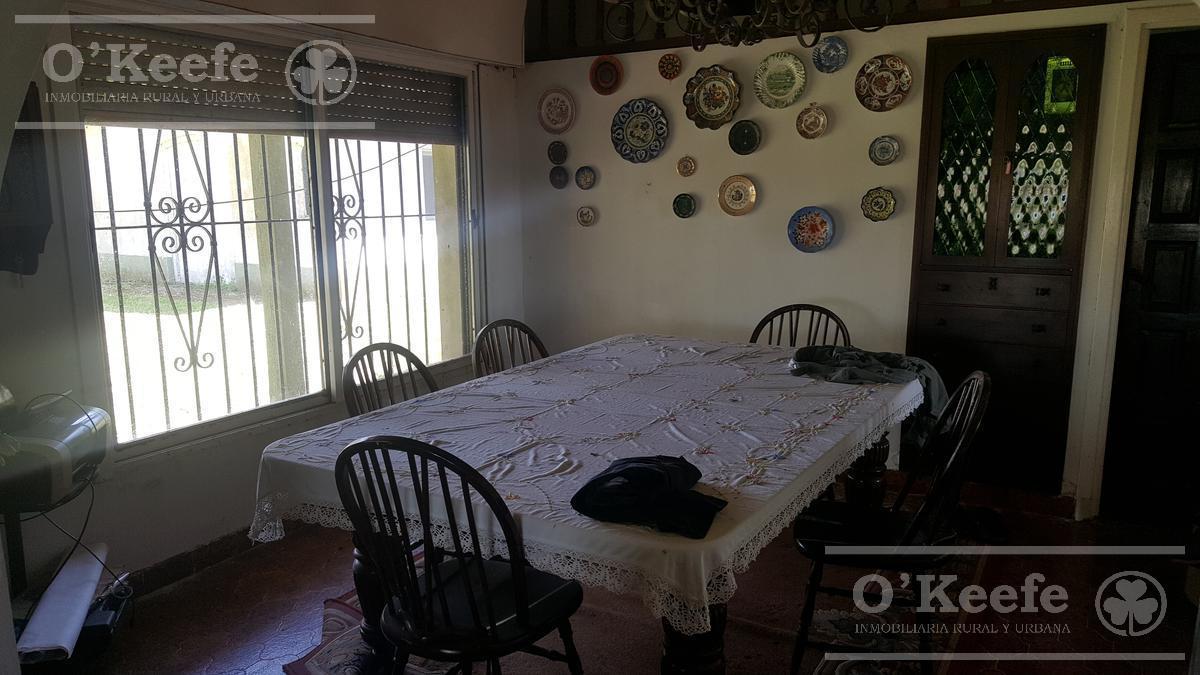 Foto de Chacra en Venta de 34 has en Lezama. Ideal para Producir y Disfrutar, imagen 4