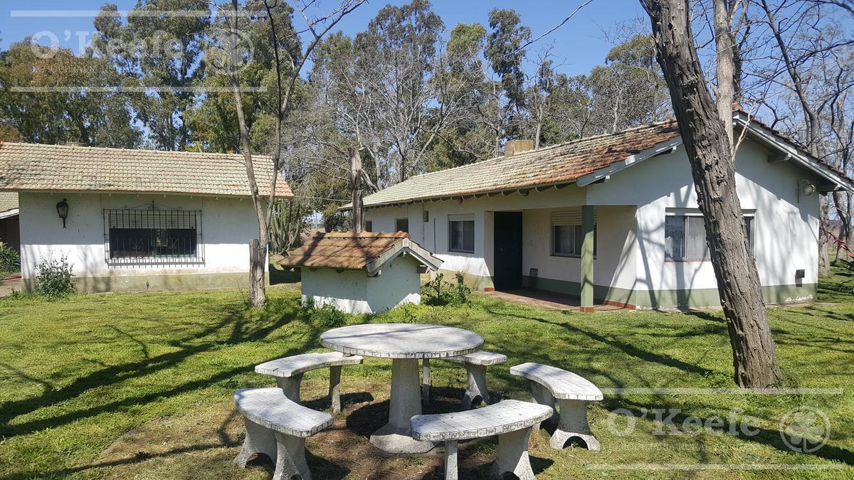 Chacra en Venta de 34 has en Lezama. Ideal para Producir y Disfrutar