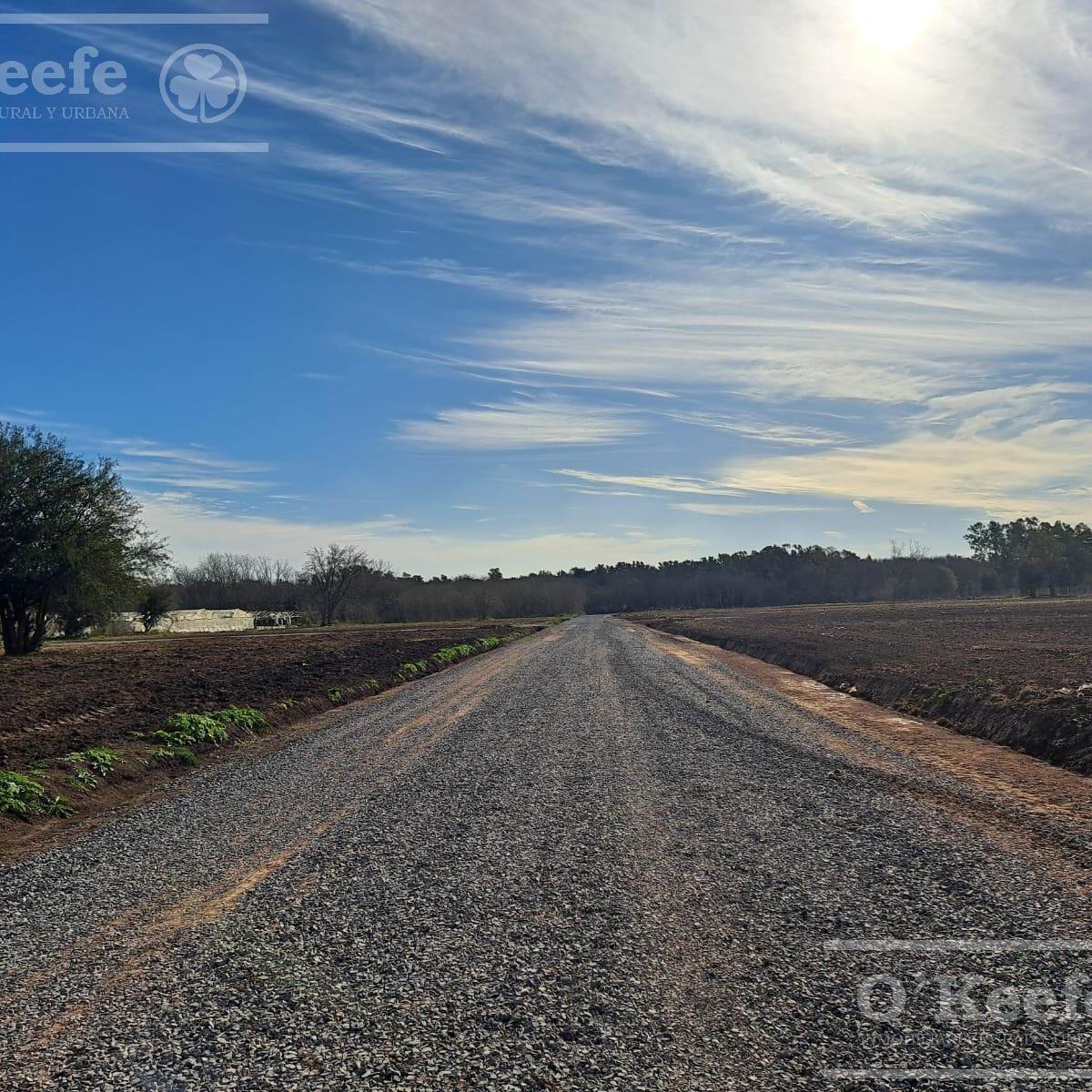Foto de Lotes en venta en El Pato - Berazategui - Financiación, imagen 3