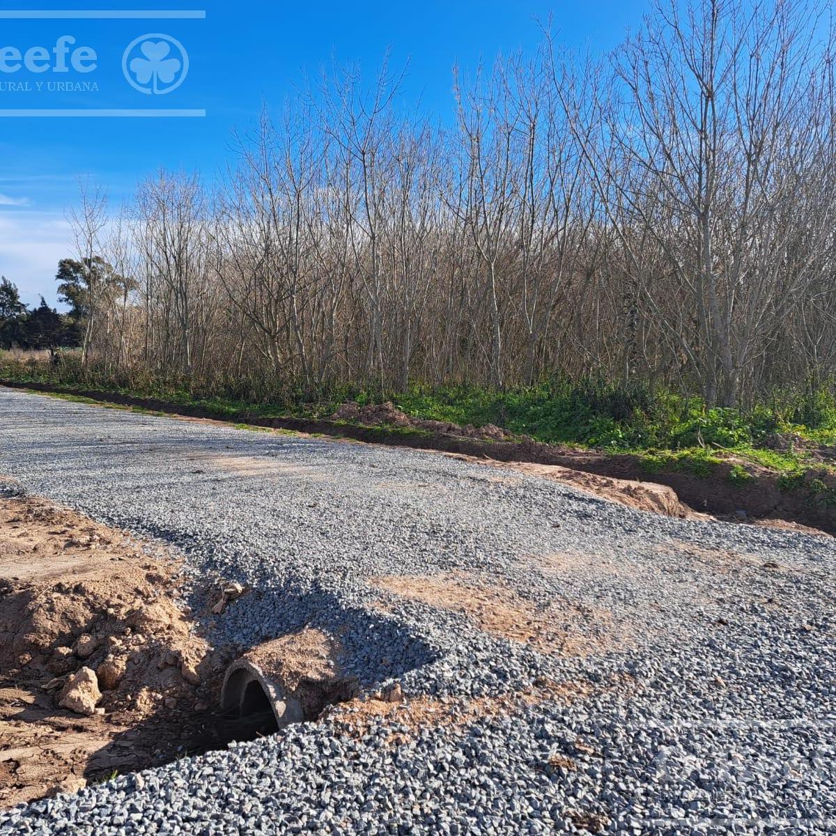 Foto de Lotes en venta en El Pato - Berazategui - Financiación, imagen 4