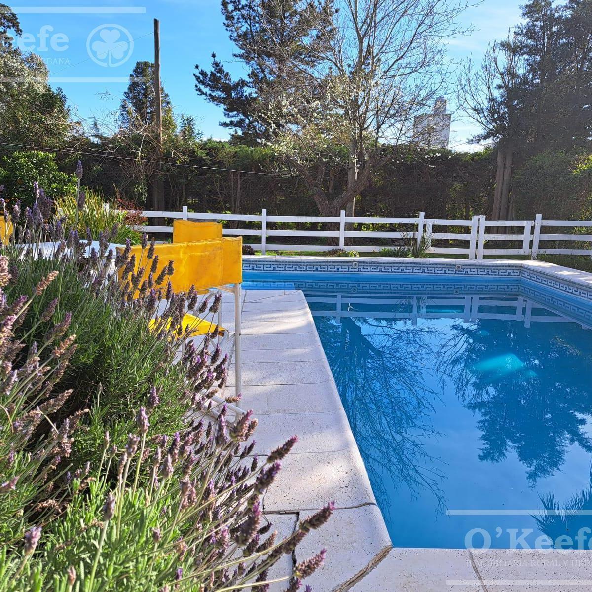 Quinta en venta con pileta en El Pato sobre lote de 895m2 Apto crédito! 626 n 2809