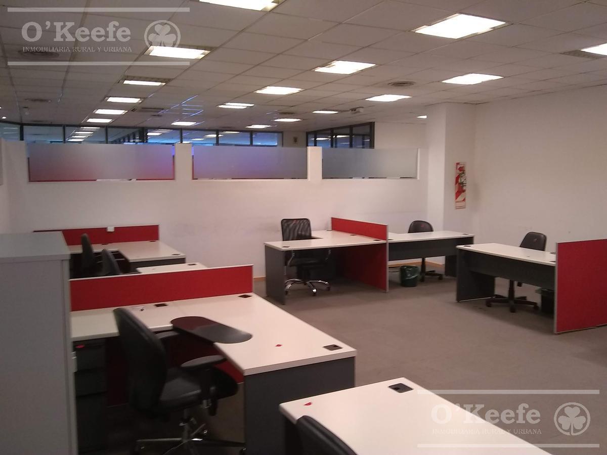 Foto de VENTA Y ALQUILER EDIFCIO DE OFICINAS ZONA SAN TELMO - CABA - 3.354 M2, imagen 3