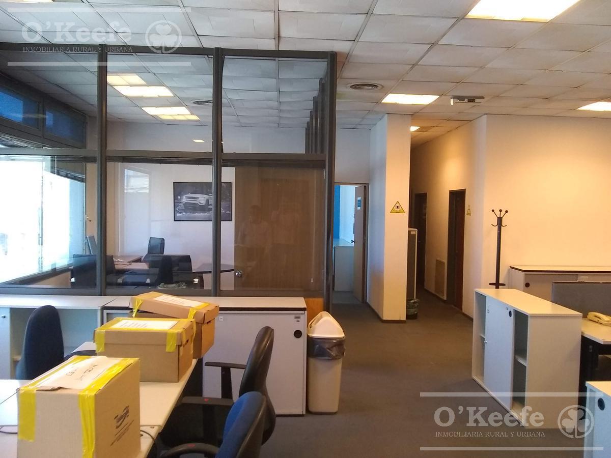 Foto de VENTA Y ALQUILER EDIFCIO DE OFICINAS ZONA SAN TELMO - CABA - 3.354 M2, imagen 5
